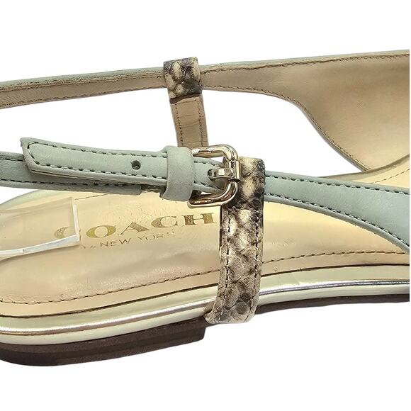 Coach Wooster Blue Green Snakeskin Leather Slingback Pointed Toe Flats - Picture 9 of 11